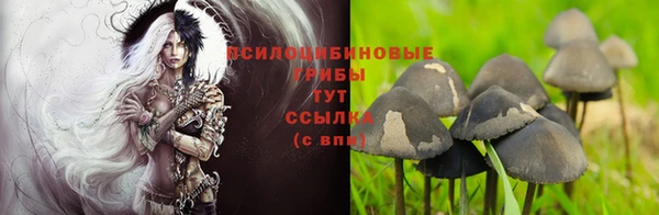 спиды Белоозёрский