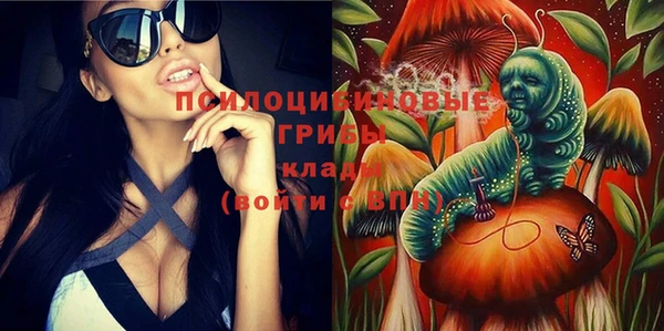 тгк Белокуриха